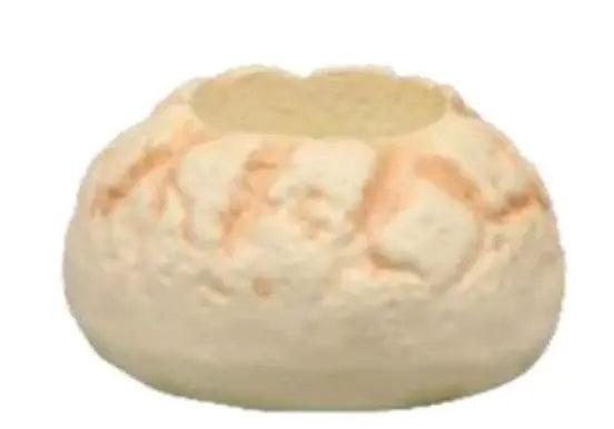 🍞 【拼肉肉】肉肉甜點店|日式脆皮波蘿麵包 (哈密瓜麵包) 多肉盲盒 (經典原味 / 濃郁巧克力 任選|含盆土專業組裝) 拼肉肉 Puzzle Of Succulent