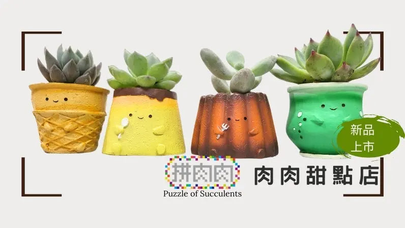 【肉肉甜點店】超大組甜點組合 拼肉肉 Puzzle Of Succulent