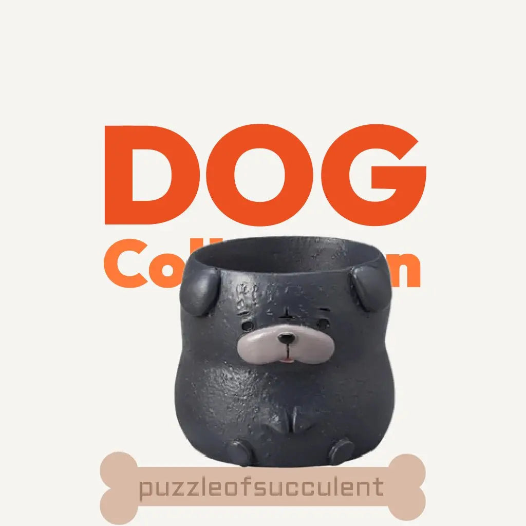 【肉肉動物園】 - 日本進口哈巴狗植物盲盒X2 - 拼肉肉 Puzzle Of Succulent