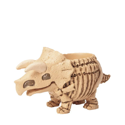 🦖 【肉肉玩具箱】三角龍化石 Ｘ 真實一吋多肉盲盒 (開箱即擺｜辦公桌上的侏羅紀探險｜含盆土專業組裝) 拼肉肉 Puzzle Of Succulent