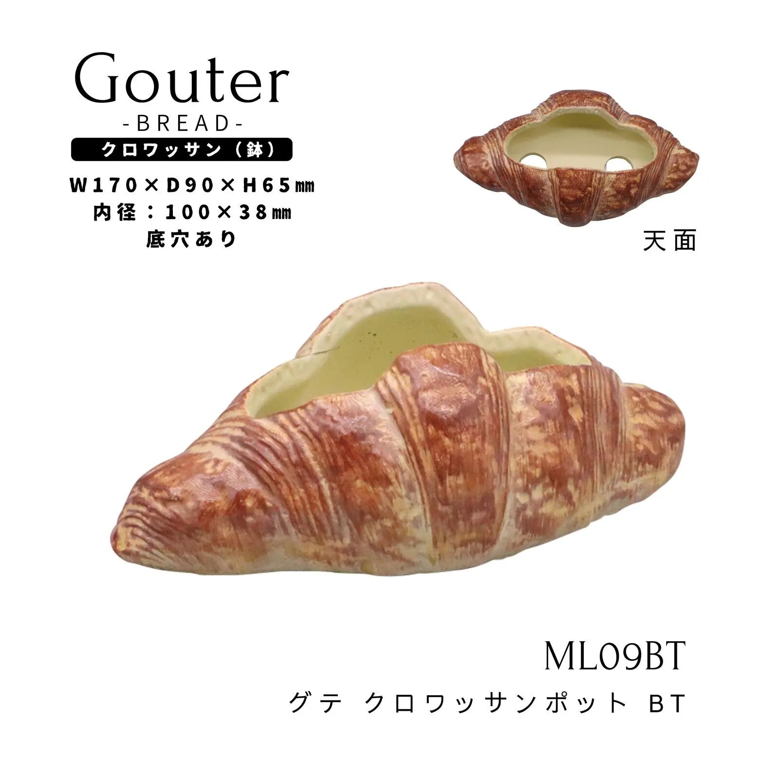 🥐 【拼肉肉】肉肉甜點店｜法式金黃可頌 Ｘ 真實多肉盲盒 (S/M尺寸任選｜零熱量的法式浪漫｜含盆土專業組裝) 拼肉肉 Puzzle Of Succulent