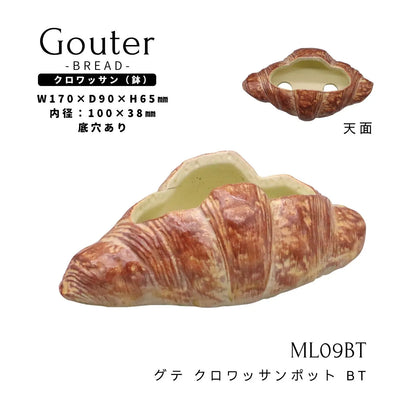 🥐 【拼肉肉】肉肉甜點店｜法式金黃可頌 Ｘ 真實多肉盲盒 (S/M尺寸任選｜零熱量的法式浪漫｜含盆土專業組裝) 拼肉肉 Puzzle Of Succulent