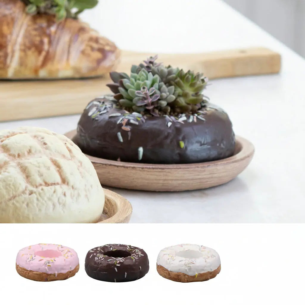 🍩 【拼肉肉】肉肉甜點店｜極致擬真 甜甜圈 Ｘ 真實多肉盲盒 (三種口味任選｜零熱量下午茶｜含盆土專業組裝) 拼肉肉 Puzzle Of Succulent