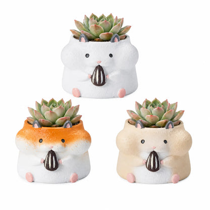 🐹🐿️ 【拼肉肉】四鼠來襲！松鼠 Ｘ 倉鼠 超萌多肉盲盒 (4款一次帶走｜鼠一鼠二的可愛｜含盆土專業組裝) 拼肉肉 Puzzle Of Succulent