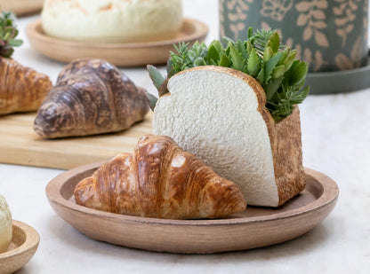 🥐 【拼肉肉】肉肉甜點店｜法式金黃可頌 Ｘ 真實多肉盲盒 (S/M尺寸任選｜零熱量的法式浪漫｜含盆土專業組裝) 拼肉肉 Puzzle Of Succulent
