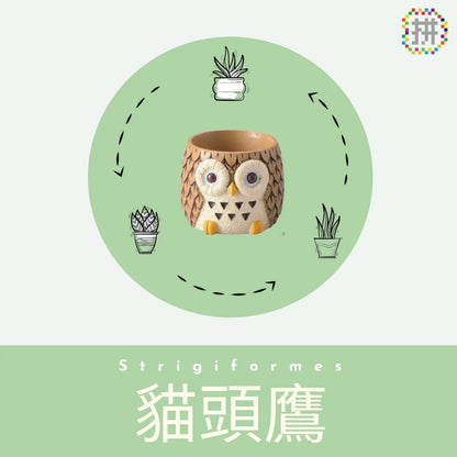 【肉肉動物園】-日本進口雙色貓頭鷹多肉植物盲盒X2 每色各1 拼肉肉 Puzzle Of Succulent