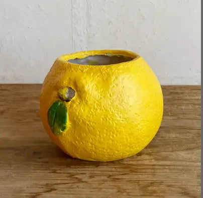 🍋 【肉肉植物園】仲夏樂園！鮮黃巨萌檸檬 Ｘ 夢幻多肉多重奏 (少數大盆限量版｜開箱即擺｜專業多肉拼盤種植到好) 拼肉肉 Puzzle Of Succulent