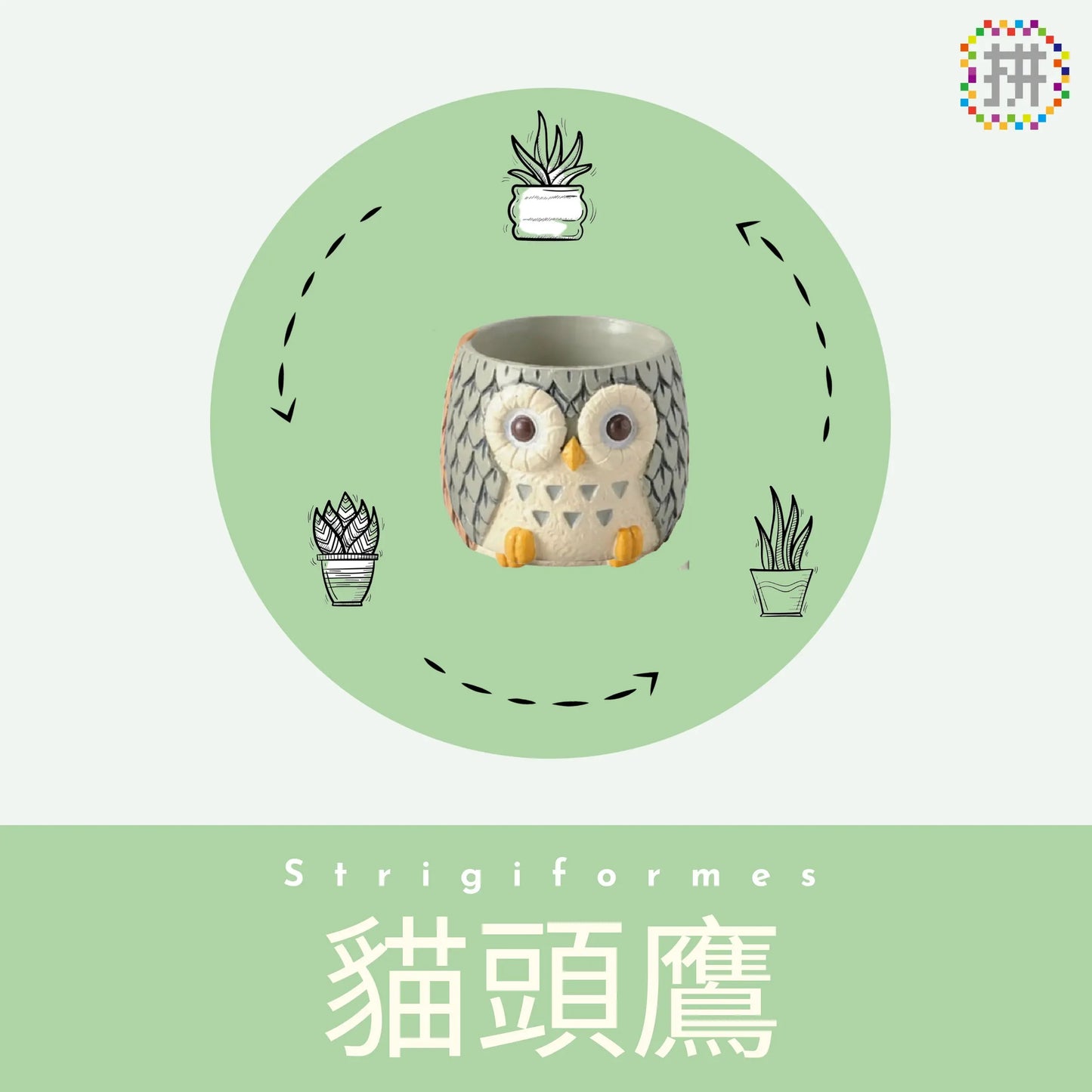 【肉肉動物園】-日本進口雙色貓頭鷹多肉植物盲盒X2 每色各1 拼肉肉 Puzzle Of Succulent