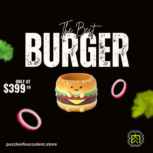 【肉肉甜點店】熱量爆表！大麥克多肉植物盲盒 (單入)（多肉一吋盆） 拼肉肉 Puzzle Of Succulent