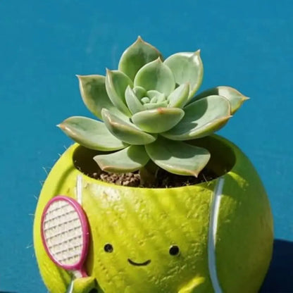 🎾【肉肉運動場】熱血網球多肉盲盒 (Tennis) 拼肉肉 Puzzle Of Succulent