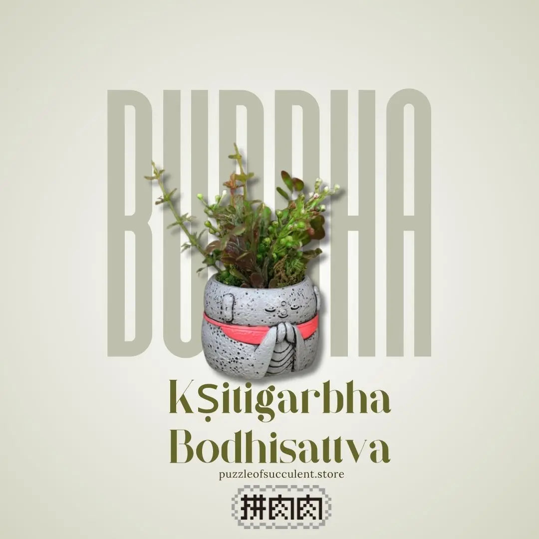 【肉肉玩具箱】 溫柔的守護 地藏王菩薩 真實多肉植物盲盒 (單入/多入組｜平安御守｜微型盆栽｜含盆土)多肉一吋盆 拼肉肉 Puzzle Of Succulent
