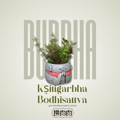 【肉肉玩具箱】 溫柔的守護 地藏王菩薩 真實多肉植物盲盒 (單入/多入組｜平安御守｜微型盆栽｜含盆土)多肉一吋盆 拼肉肉 Puzzle Of Succulent