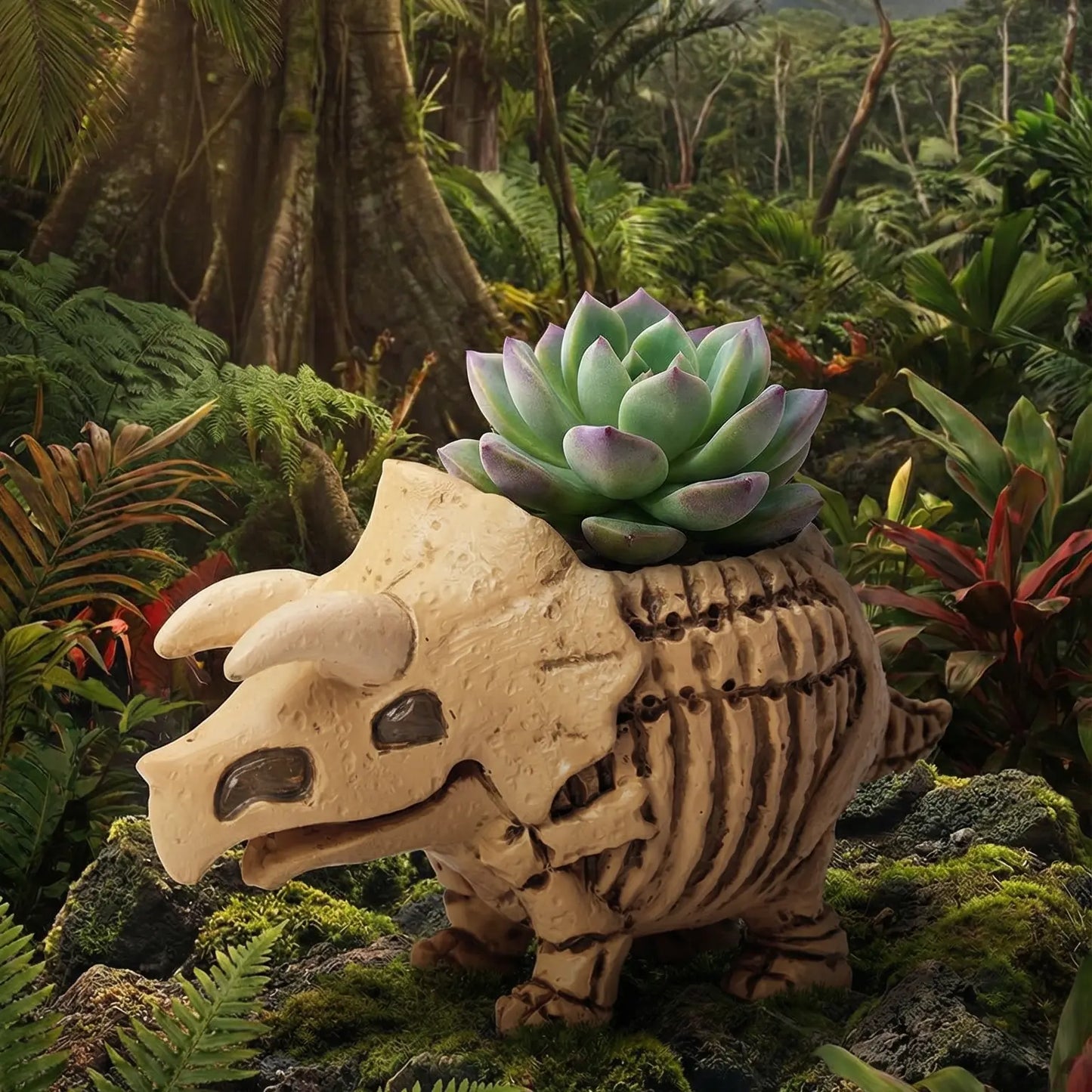 🦖 【拼肉肉】肉肉玩具箱｜史前巨獸 3 入組 Ｘ 真實一吋多肉盲盒 (暴龍+三角龍+化石｜一次帶回三隻｜含盆土專業組裝) 拼肉肉 Puzzle Of Succulent
