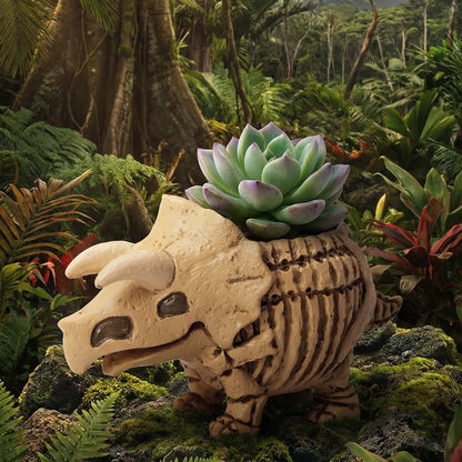 🦖 【拼肉肉】肉肉玩具箱｜史前巨獸 3 入組 Ｘ 真實一吋多肉盲盒 (暴龍+三角龍+化石｜一次帶回三隻｜含盆土專業組裝) 拼肉肉 Puzzle Of Succulent