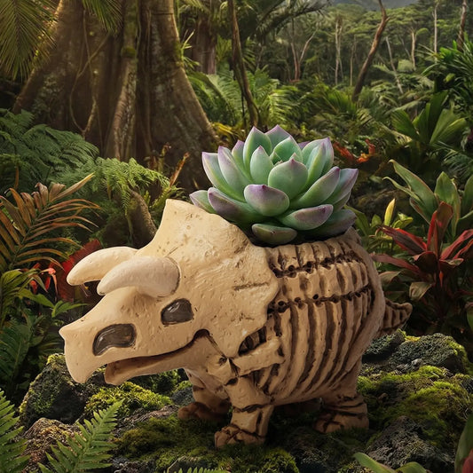🦖 【拼肉肉】肉肉玩具箱｜史前巨獸 3 入組 Ｘ 真實一吋多肉盲盒 (暴龍+三角龍+化石｜一次帶回三隻｜含盆土專業組裝) 拼肉肉 Puzzle Of Succulent