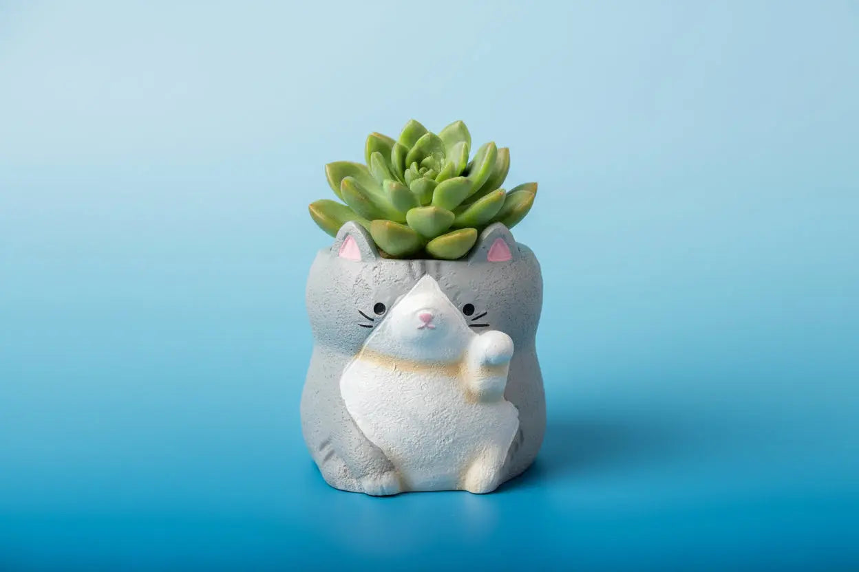 【肉肉動物園】招財貓咪多肉盲盒 拼肉肉 Puzzle Of Succulent