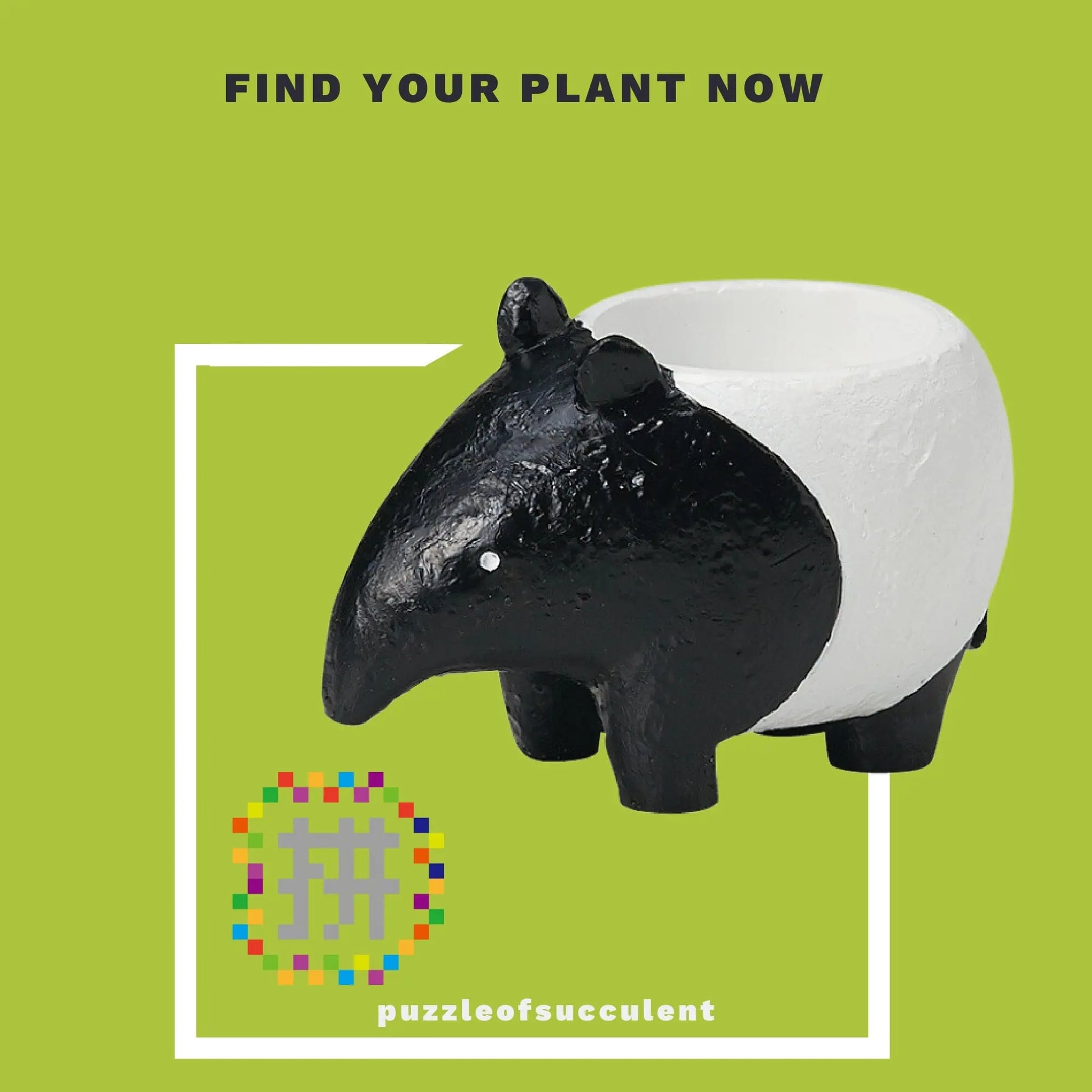 【肉肉大動物園】馬來貘多肉植物盲盒 - 拼肉肉 Puzzle Of Succulent