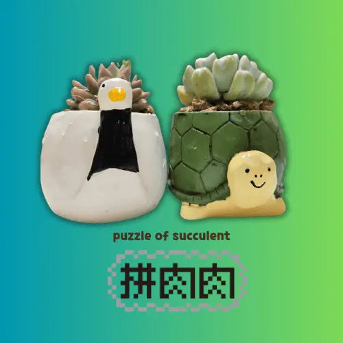 【肉肉動物園】吉祥龜鶴多肉植物盲盒 - 拼肉肉 Puzzle Of Succulent