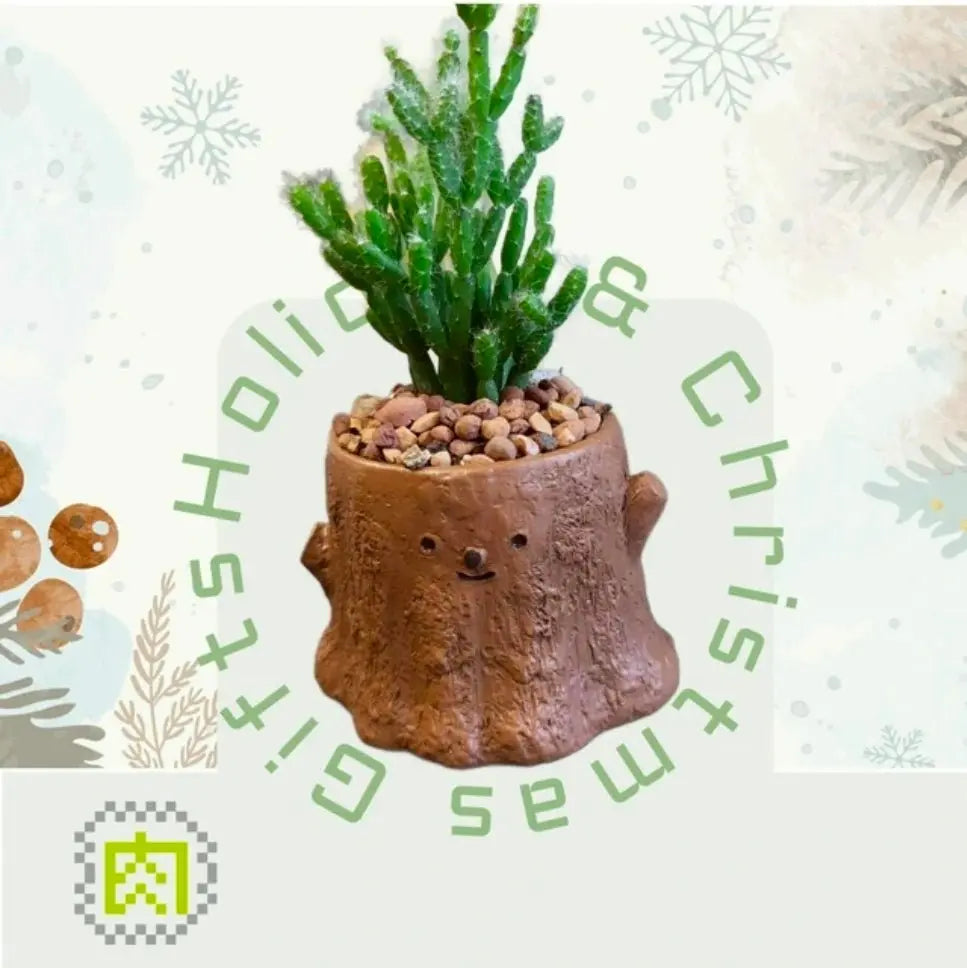 【拼肉肉聖誕限定】多肉植物樹樁盲盒組合 (聖誕小物圍巾版) - 拼肉肉 Puzzle Of Succulent