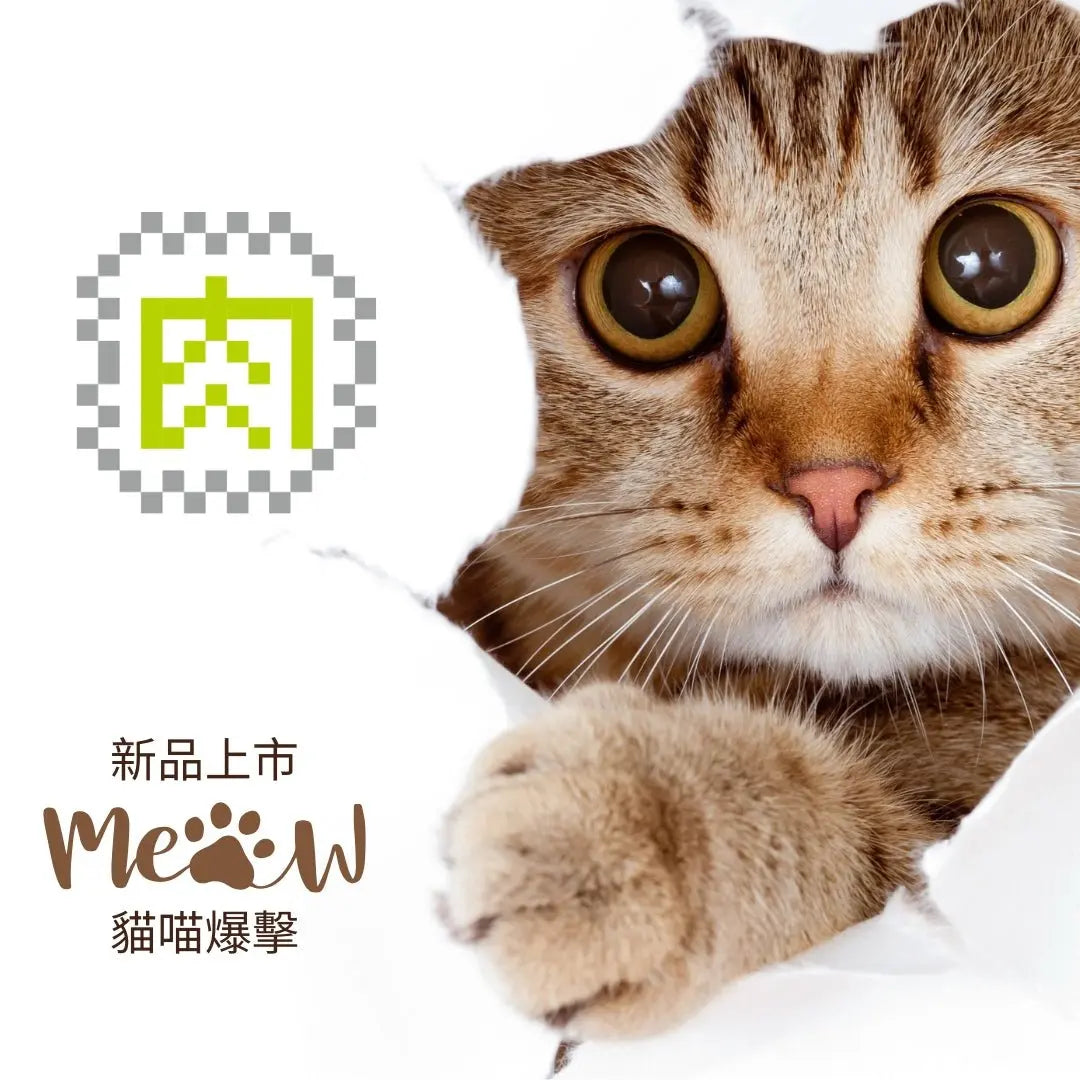 【肉肉雜貨店】貓咪創意大頭托特包 - 拼肉肉 Puzzle Of Succulent