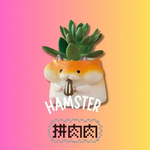 【肉肉動物園】倉鼠哈姆太郎三色多肉植物盲盒 - 拼肉肉 Puzzle Of Succulent