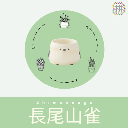 【肉肉動物園】 - 長尾山雀植物盲盒單隻 - 拼肉肉 Puzzle Of Succulent
