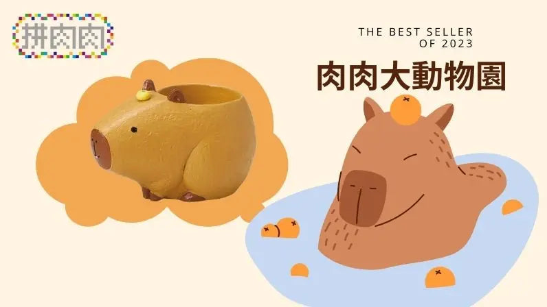 【肉肉大動物園】橘子水豚君創意多肉花器盲盒 - 拼肉肉 Puzzle Of Succulent