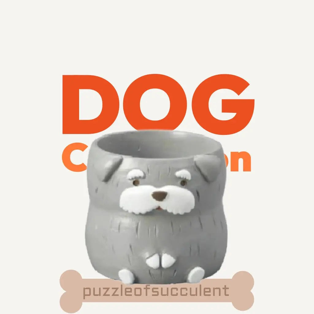【肉肉動物園】老夫子雪納瑞雙色多肉植物盲盒 - 拼肉肉 Puzzle Of Succulent
