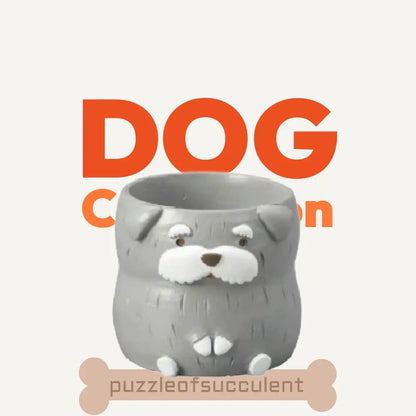 【肉肉動物園】老夫子雪納瑞雙色多肉植物盲盒 - 拼肉肉 Puzzle Of Succulent