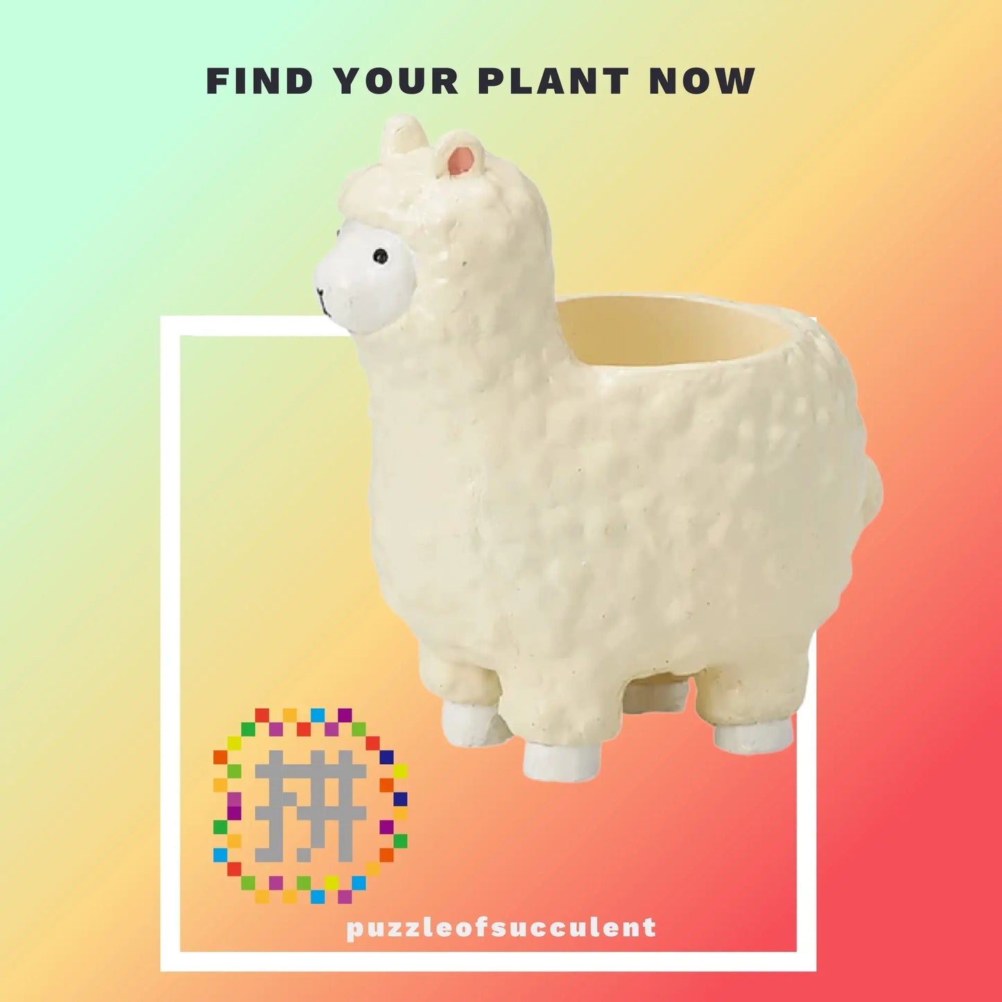 【肉肉大動物園】羊駝創意多肉花器，植物盲盒X1 - 拼肉肉 Puzzle Of Succulent