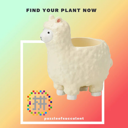 【肉肉大動物園】羊駝創意多肉花器，植物盲盒X1 - 拼肉肉 Puzzle Of Succulent