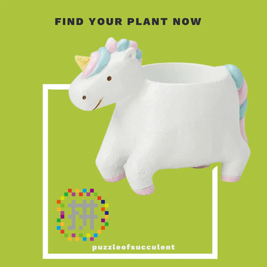 【肉肉大動物園】獨角獸創意多肉花器X1 - 拼肉肉 Puzzle Of Succulent