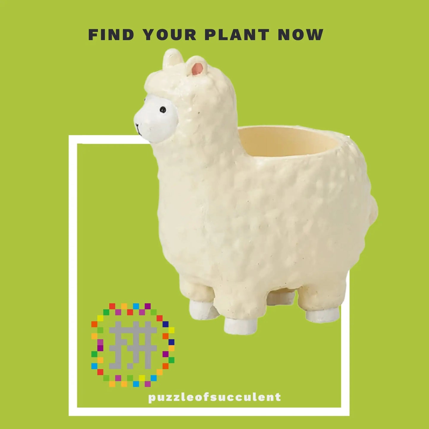 【肉肉大動物園】羊駝創意多肉花器，植物盲盒X1 - 拼肉肉 Puzzle Of Succulent