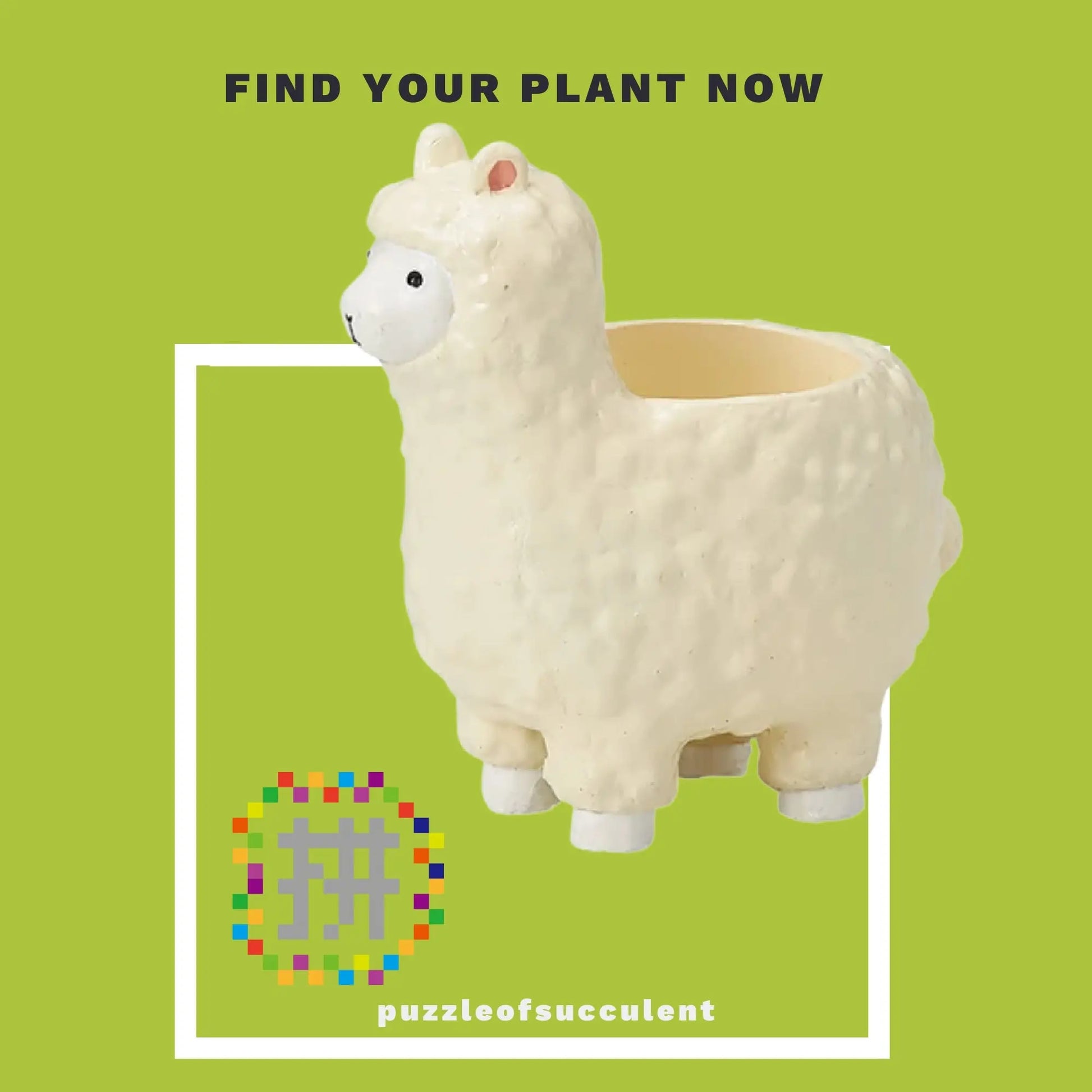 【肉肉大動物園】羊駝創意多肉花器，植物盲盒X1 - 拼肉肉 Puzzle Of Succulent