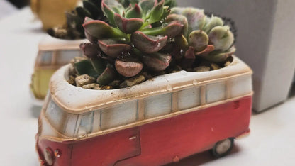【肉肉玩具箱】復古旅行車多肉盲盒X2 - 拼肉肉 Puzzle Of Succulent