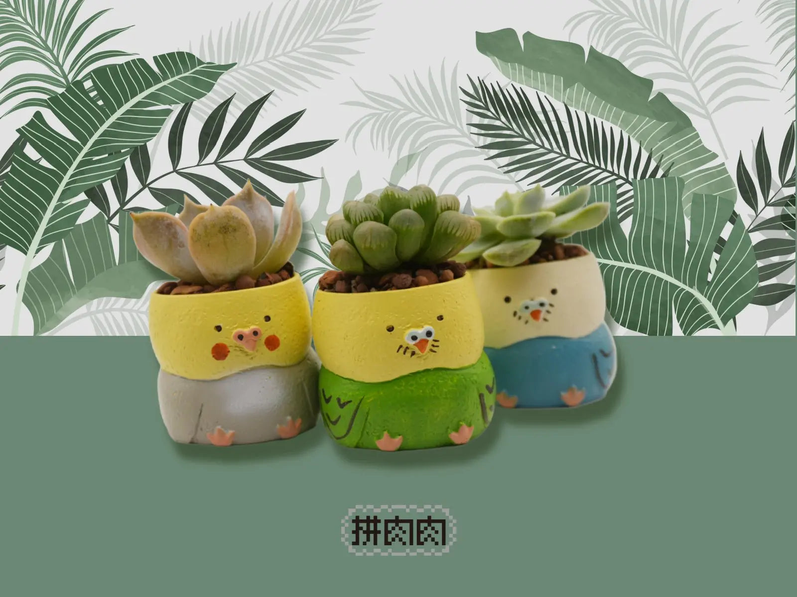 【肉肉動物園】 - 日本鸚鵡多肉植物盲盒X3 每色各1 - 拼肉肉 Puzzle Of Succulent